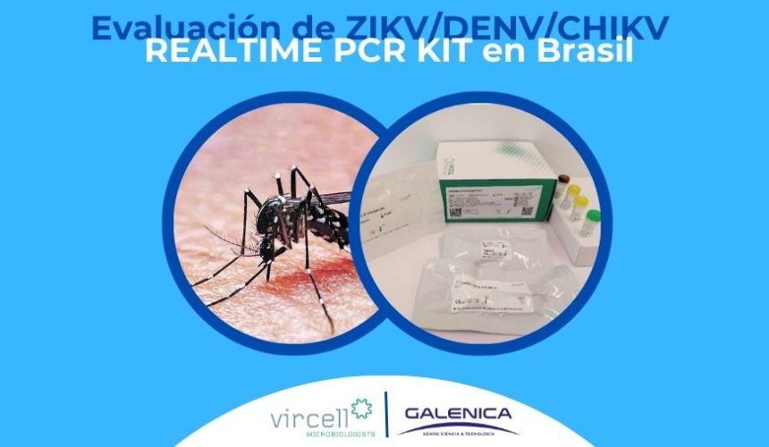 Introducción del Nuevo Kit de Identificación de Virus en Brasil para Combatir el Dengue