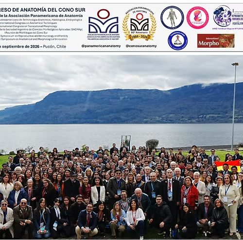 GALENICA participa en el XXVIII Congreso de Anatomía del Cono Sur