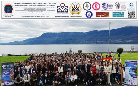 GALENICA participa en el XXVIII Congreso de Anatomía del Cono Sur